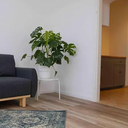 Stilvoll Renovierte Souterrainwohnung In Elbnahe * Dresden