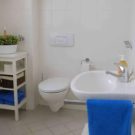 Stilvoll Renovierte Souterrainwohnung In Elbnahe * Dresden
