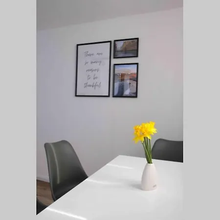 Stilvoll Renovierte Souterrainwohnung In Elbnahe アパート ドレスデン
